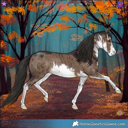 Horse Color:White Spotted Liver Red Dun Brindle
