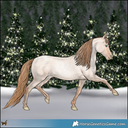 Horse Color:Gold Champagne Roan Pearl Rabicano and Gold Champagne Roan Pearl Rabicano