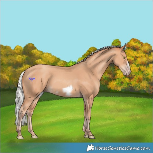 Horse Color:Silver Amber Champagne Frame 