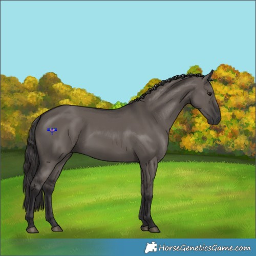 Horse Color:Smoky Grullo 