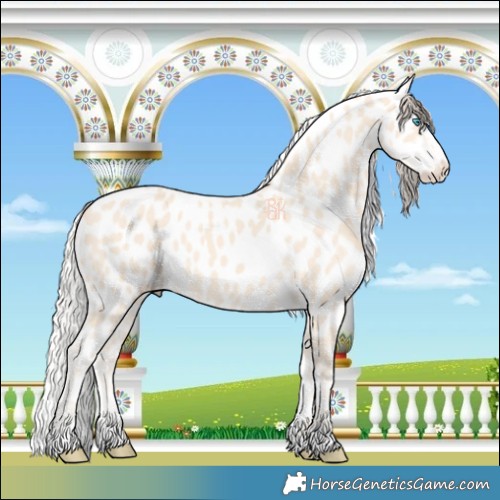 Horse Color:Cremello Near Leopard 