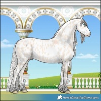 Horse Color:Cremello Near Leopard 