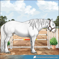Horse Color:Cremello Dun Frame Appaloosa Rabicano 