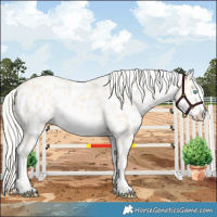 Horse Color:Cremello Dun Frame Leopard Rabicano 
