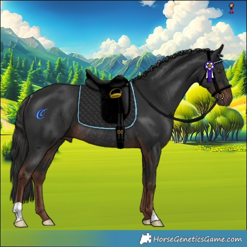 Horse Color:Liver Chestnut Rabicano 