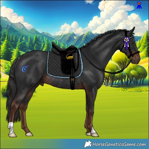 Horse Color:Liver Chestnut Rabicano 