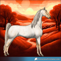 Horse Color:Palomino Roan Dun 