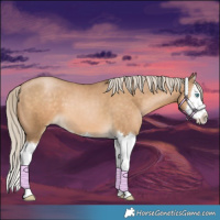Horse Color:Chocolate Palomino Pearl Splash