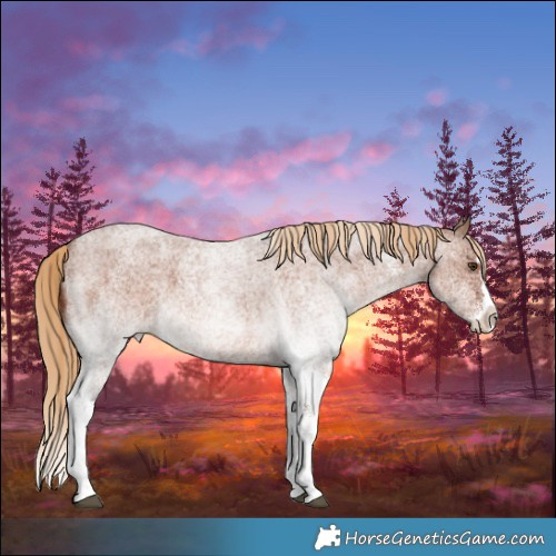 Horse Color:White Spotted Red Roan Splash 