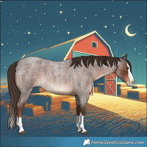 Horse Color:Liver Red Roan Splash 