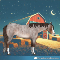 Horse Color:Liver Red Roan Splash