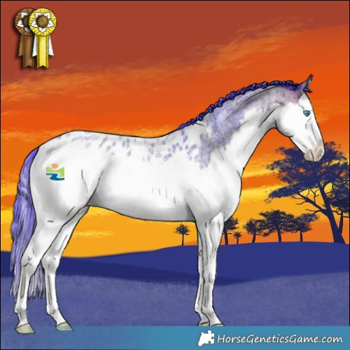 Horse Color:Watercolor Bay Ice Roan Splash Appaloosa 