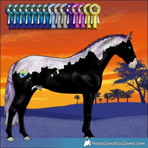 Horse Color:Watercolor Bay Ice Roan Splash 