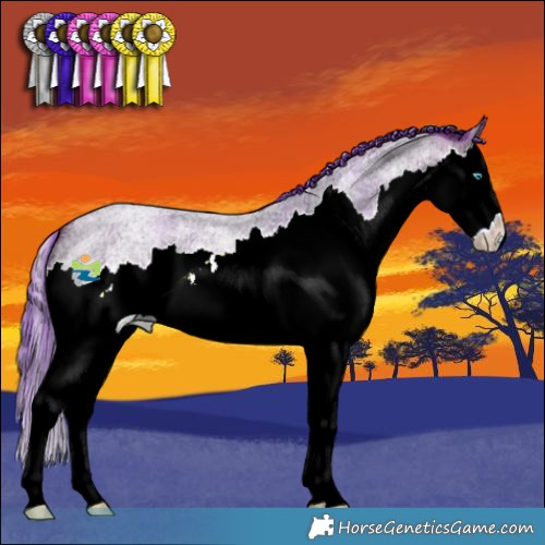Horse Color:Watercolor Bay Ice Roan Splash 