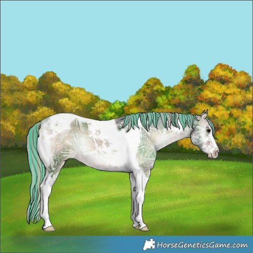 Horse Color:Painted White Spotted Silver Brown Ice Onyx Tobiano 