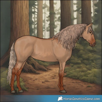 Horse Color:Red Dun 
