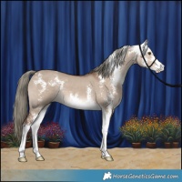 Horse Color:Liver Red Dun Mushroom Sabino 