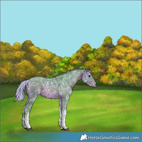 Horse Color:Watercolor White Spotted Silver Brown Ice Tobiano 