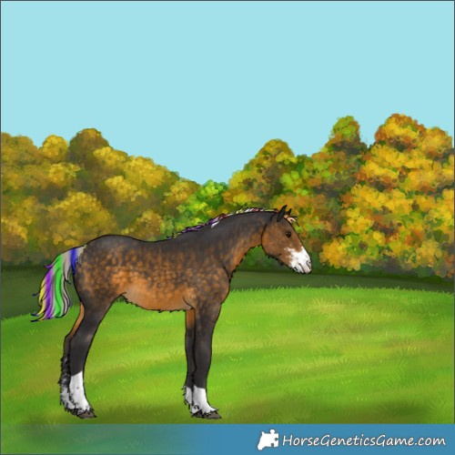 Horse Color:Painted Silver Buckskin Sabino Tobiano 