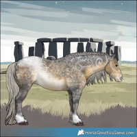 Horse Color:Silver Buckskin Ice Sabino Tobiano 