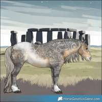 Horse Color:Silver Buckskin Ice Sabino Tobiano 