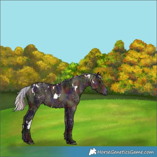 Horse Color:Nacre White Spotted Silver Brown Ice Dun 