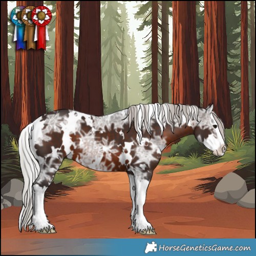 Horse Color:White Spotted Silver Brown Ice Splash 