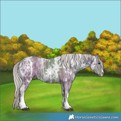 Horse Color:Silver Black Ice Sabino Tobiano 