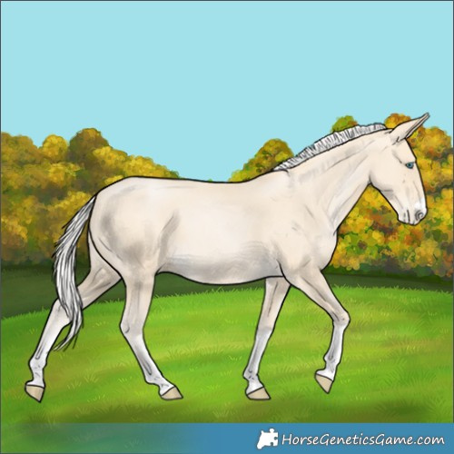 Horse Color:Silver Smoky Black Pearl 
