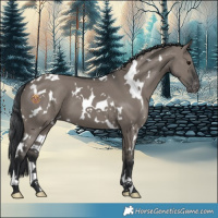 Horse Color:White Spotted Grullo Varnish 