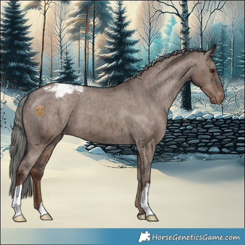 Horse Color:Liver Red Dun Mushroom Appaloosa Brindle 