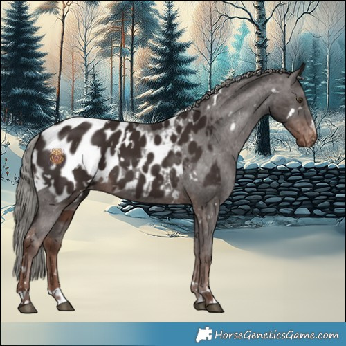 Horse Color:White Spotted Liver Chestnut Mushroom Appaloosa
