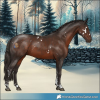 Horse Color:White Spotted Liver Chestnut Tobiano Rabicano 