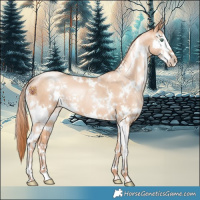 Horse Color:White Spotted Sable Champagne Pearl Splash 