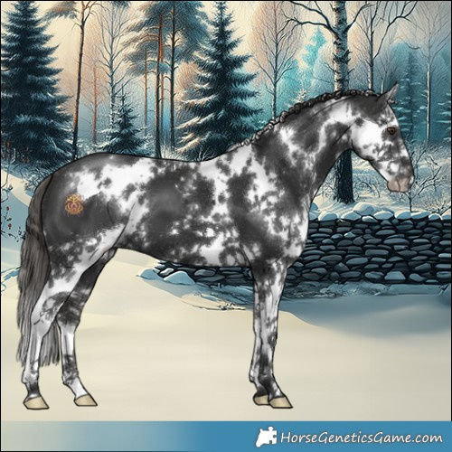 Horse Color:White Spotted Liver Chestnut Sabino Splash 