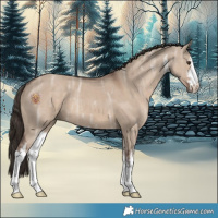 Horse Color:White Spotted Liver Red Dun Ice 