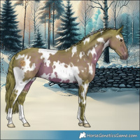 Horse Color:Watercolor White Spotted Liver Chestnut 