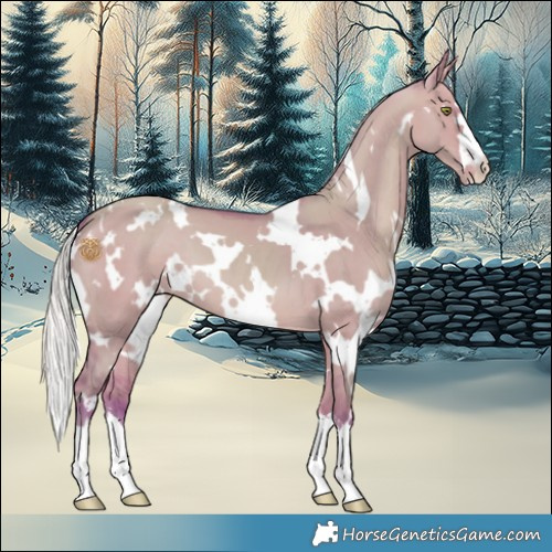 Horse Color:Watercolor White Spotted Silver Sable Champagne Dun 