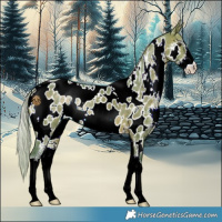 Horse Color:Watercolor White Spotted Silver Brown Dun Sabino Near Leopard 