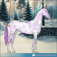 Horse Color:Watercolor White Spotted Gold Champagne Dun 
