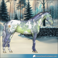 Horse Color:Watercolor White Spotted Silver Brown Appaloosa