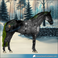 Horse Color:ERROR: UNKNOWN ANOMALY