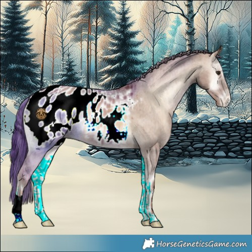 Horse Color:Red Dun Onyx Appaloosa Brindle 