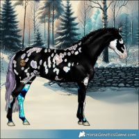 Horse Color:Red Dun Onyx Blanket Brindle 