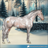 Horse Color:White Spotted Silver Brown Mushroom Appaloosa