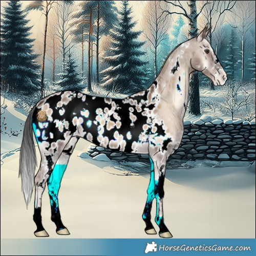 Horse Color:White Spotted Liver Red Dun Onyx Appaloosa 