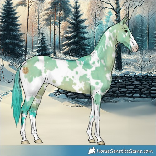 Horse Color:Watercolor White Spotted Bay Dun