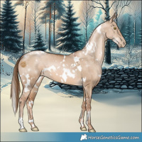 Horse Color:White Spotted Liver Red Dun Pearl 