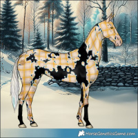 Horse Color:Plaid  White Spotted Silver Sable Champagne Dun 