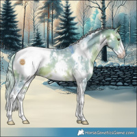 Horse Color:Watercolor White Spotted Silver Brown Dun Sabino Appaloosa 
